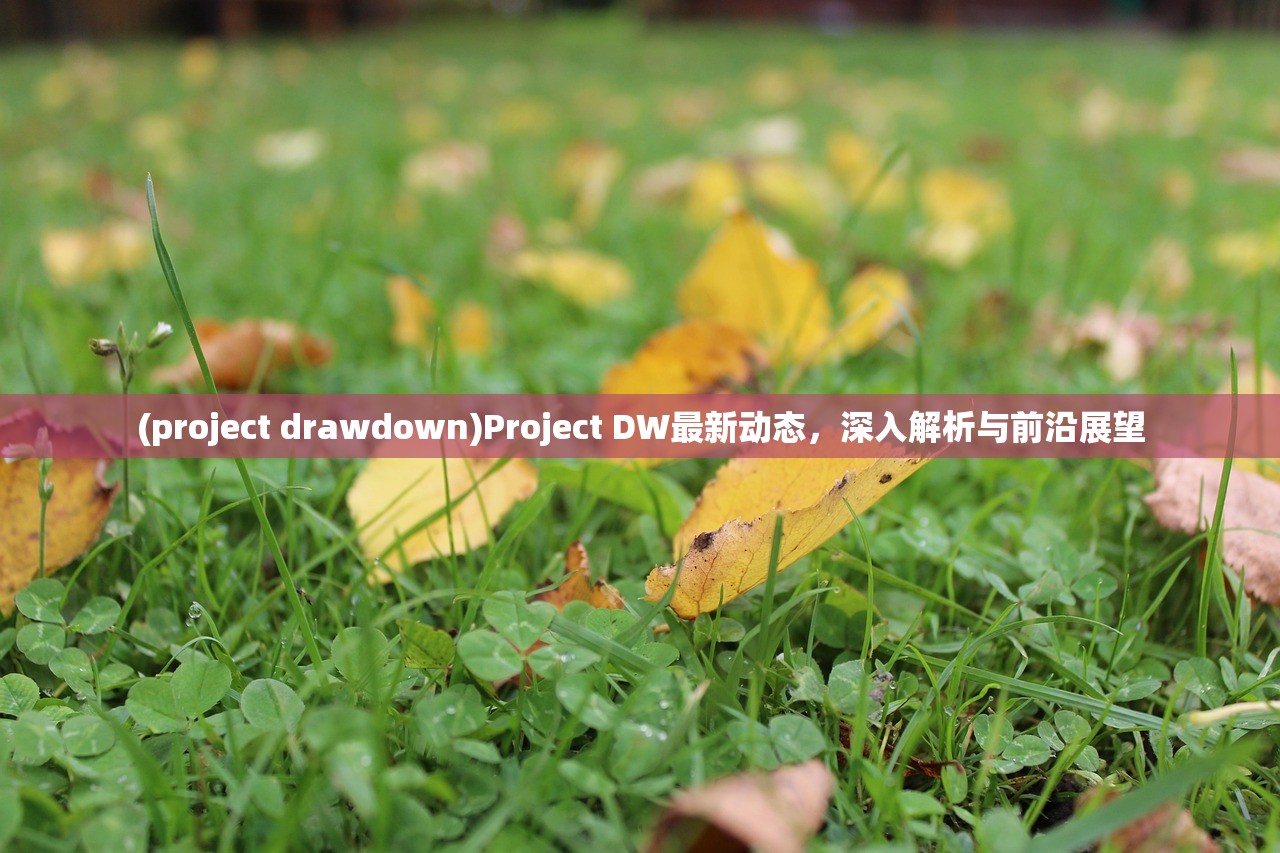 (project drawdown)Project DW最新动态，深入解析与前沿展望