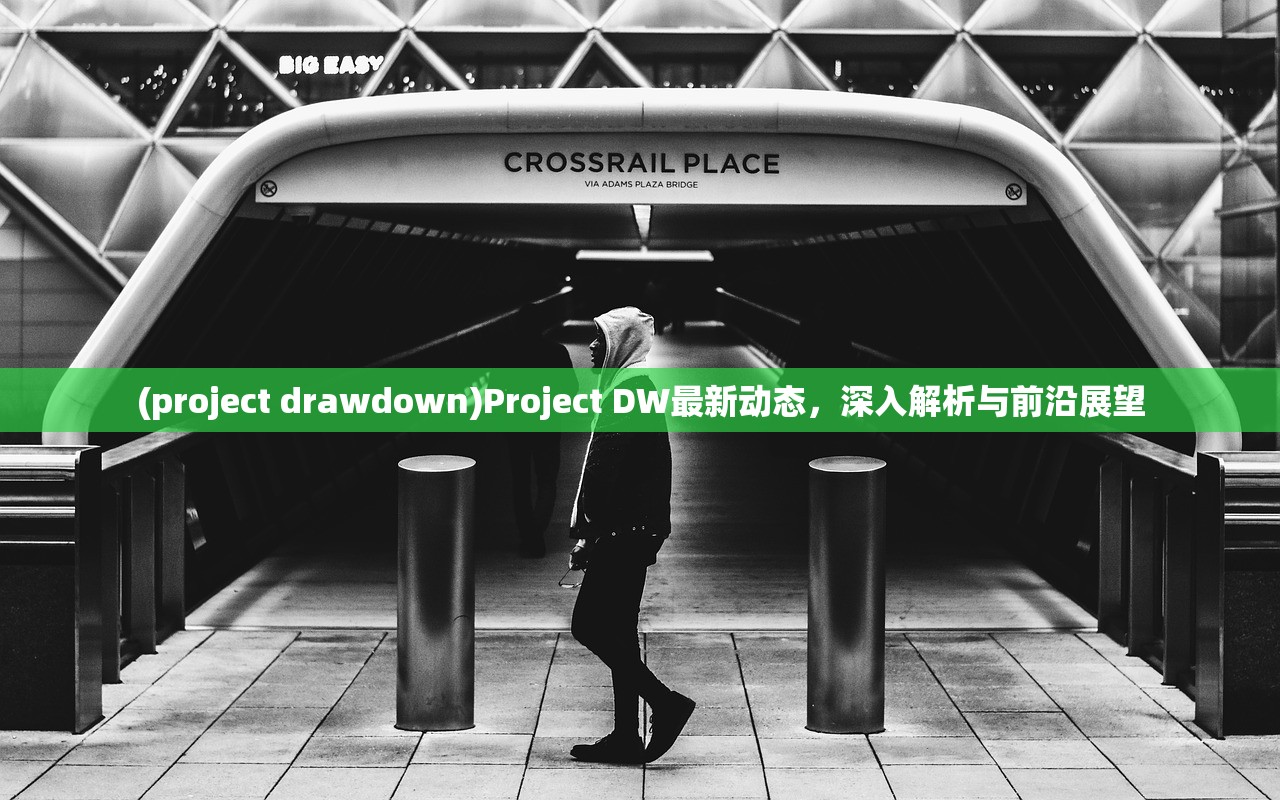 (project drawdown)Project DW最新动态，深入解析与前沿展望