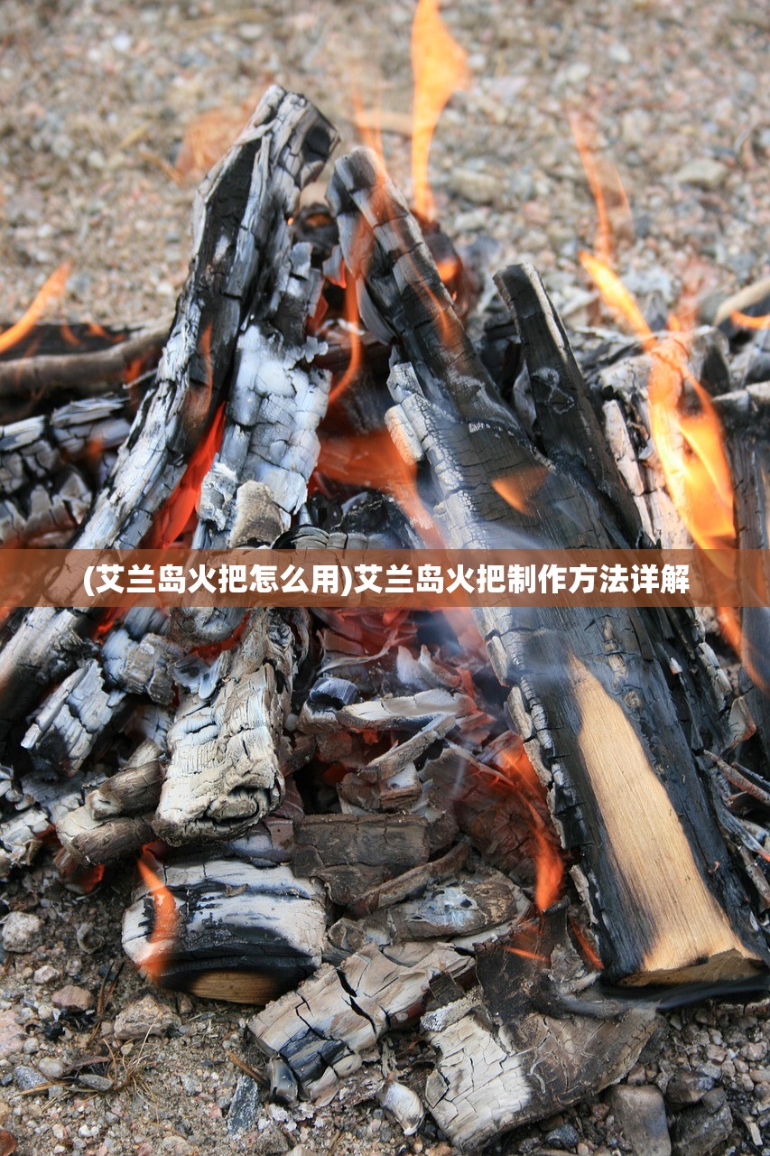 (艾兰岛火把怎么用)艾兰岛火把制作方法详解