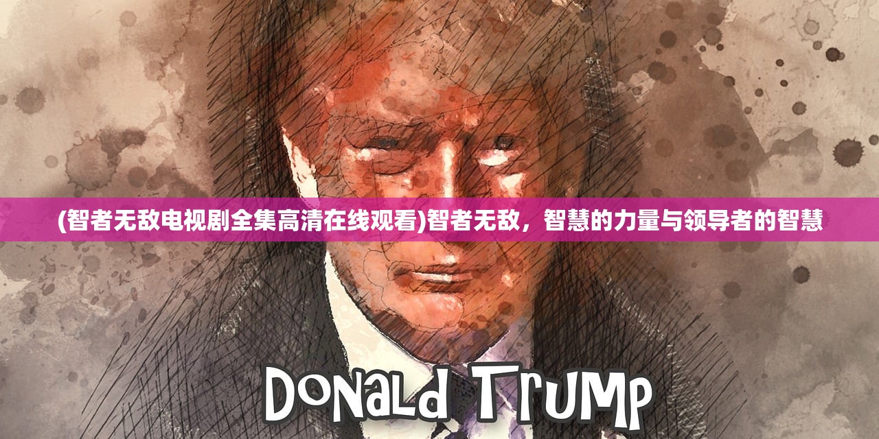 (智者无敌电视剧全集高清在线观看)智者无敌，智慧的力量与领导者的智慧