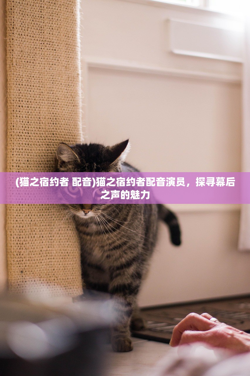 (猫之宿约者 配音)猫之宿约者配音演员，探寻幕后之声的魅力