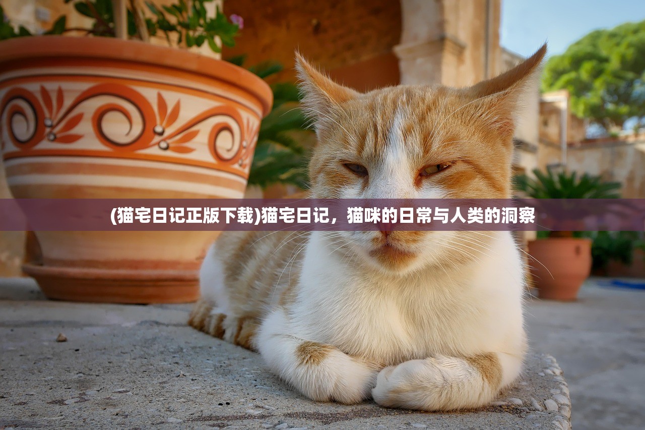 (猫宅日记正版下载)猫宅日记，猫咪的日常与人类的洞察