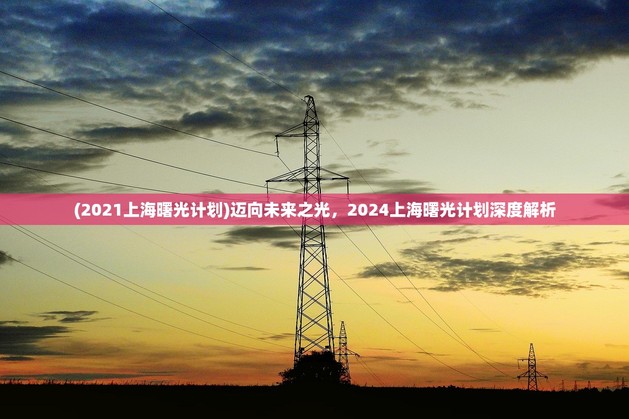 (2021上海曙光计划)迈向未来之光，2024上海曙光计划深度解析