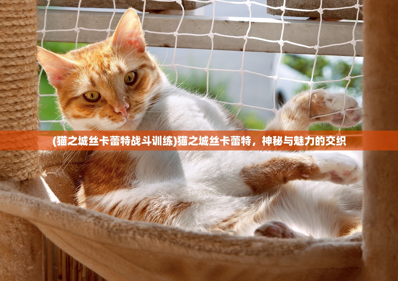 (猫之城丝卡蕾特战斗训练)猫之城丝卡蕾特，神秘与魅力的交织