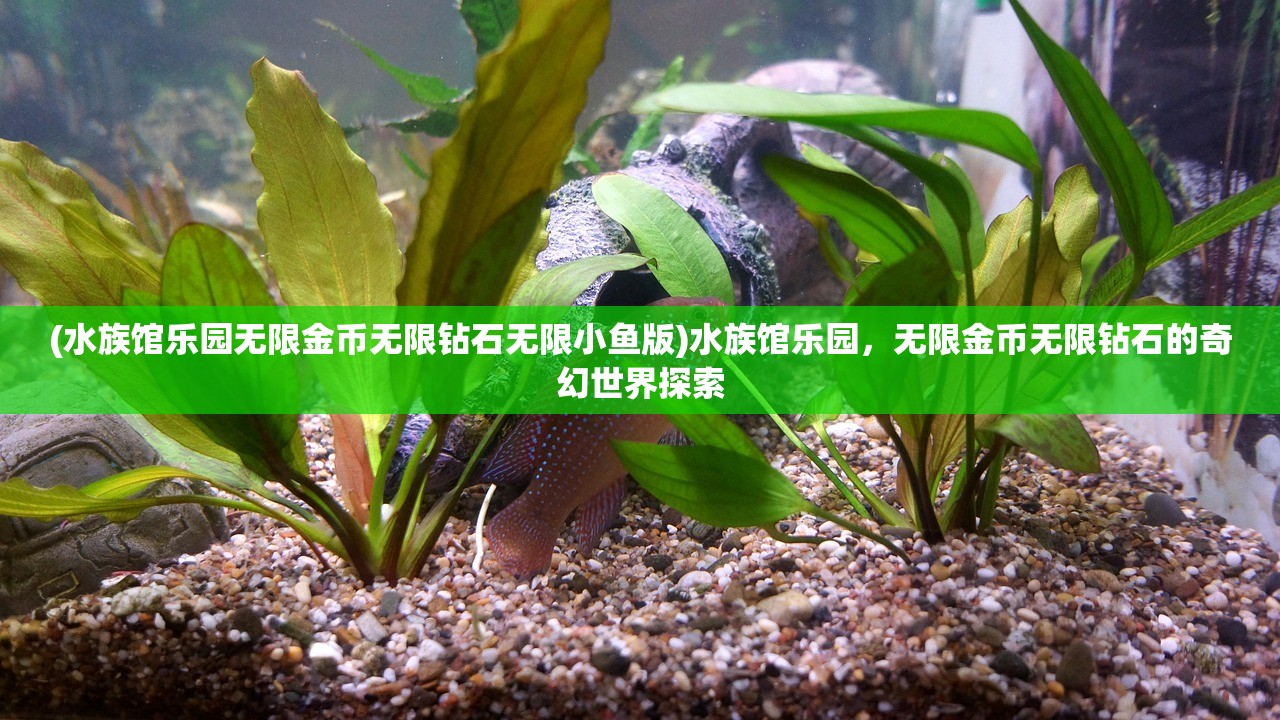 (水族馆乐园无限金币无限钻石无限小鱼版)水族馆乐园，无限金币无限钻石的奇幻世界探索