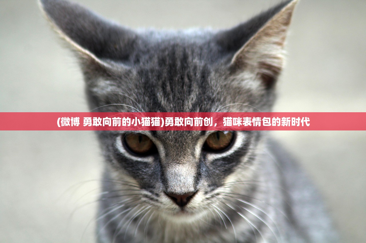 (微博 勇敢向前的小猫猫)勇敢向前创，猫咪表情包的新时代