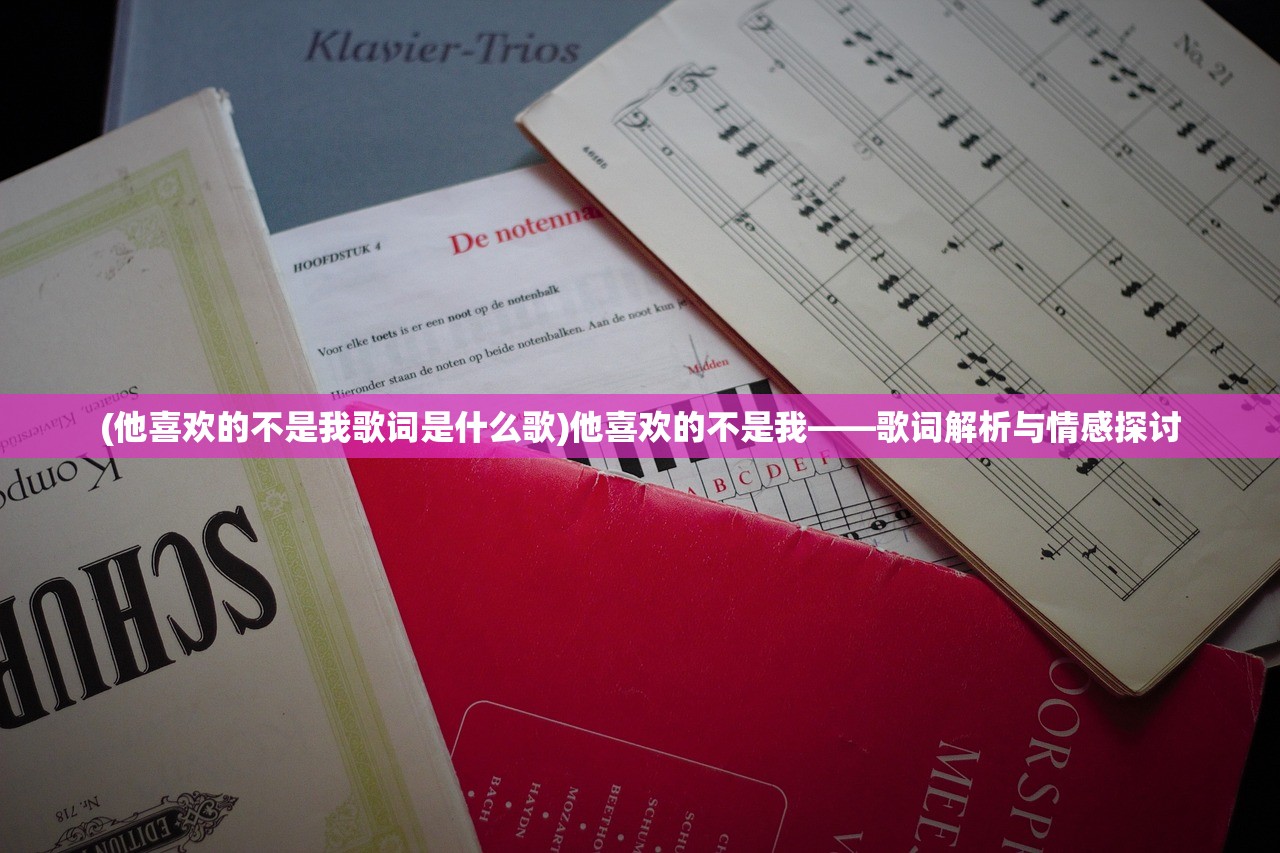 (他喜欢的不是我歌词是什么歌)他喜欢的不是我——歌词解析与情感探讨