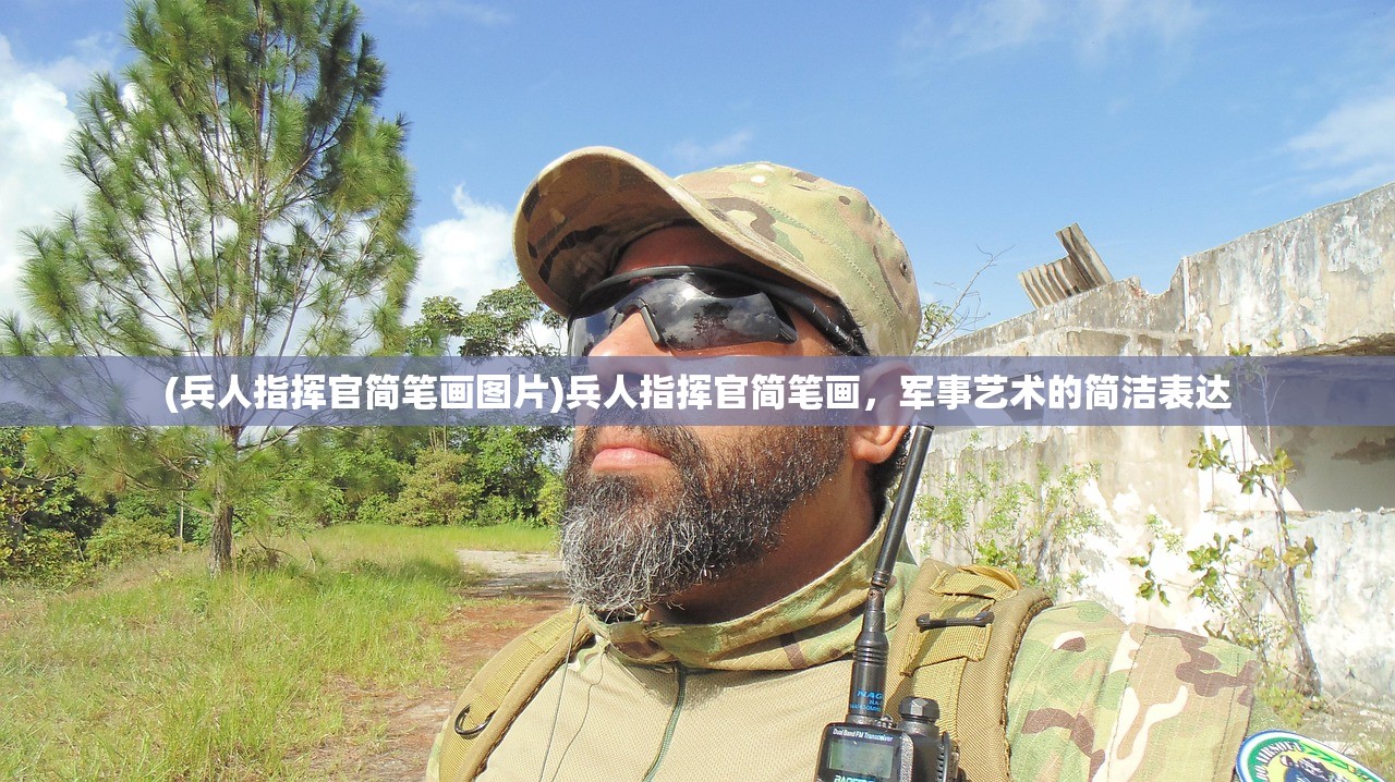 (兵人指挥官简笔画图片)兵人指挥官简笔画，军事艺术的简洁表达