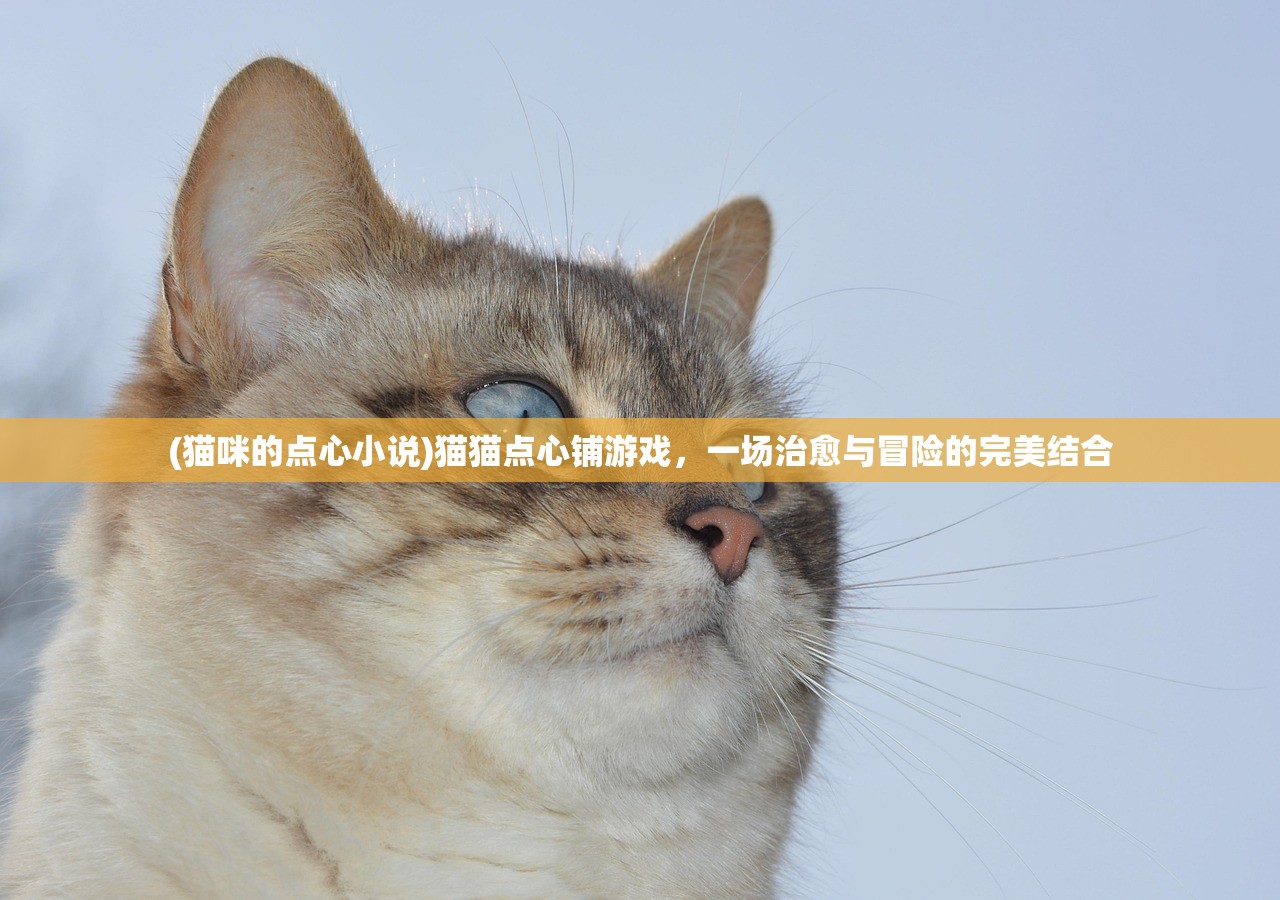 (猫咪的点心小说)猫猫点心铺游戏，一场治愈与冒险的完美结合