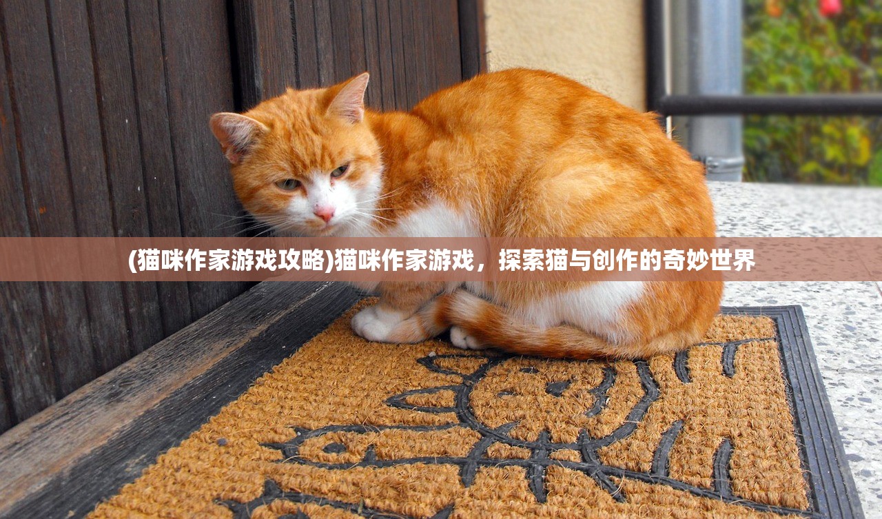 (猫咪作家游戏攻略)猫咪作家游戏，探索猫与创作的奇妙世界