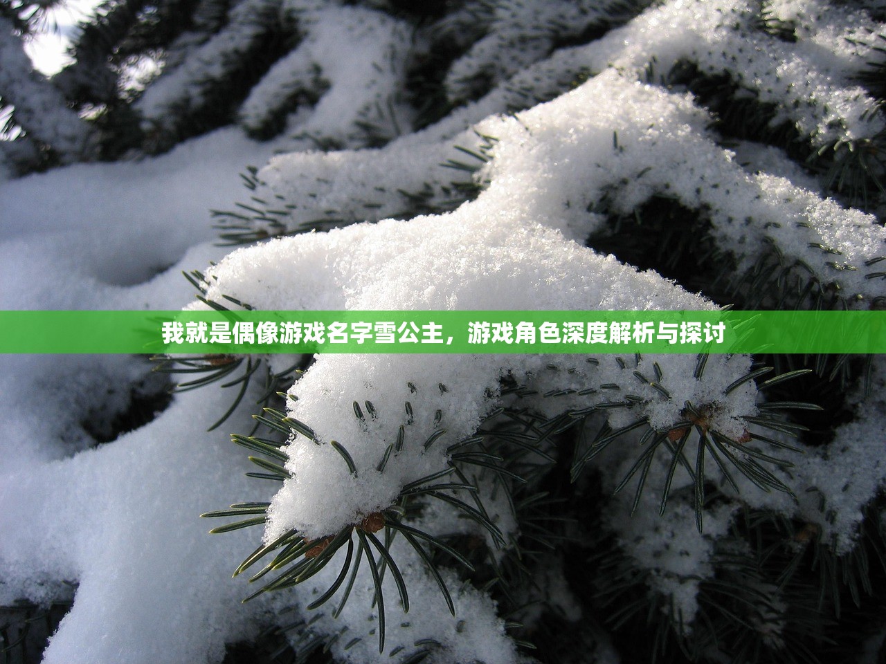 我就是偶像游戏名字雪公主，游戏角色深度解析与探讨