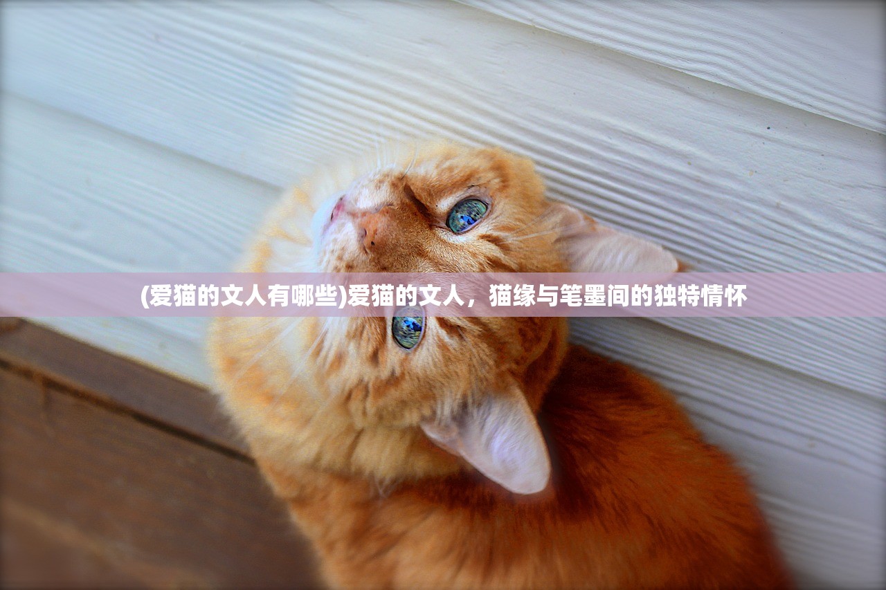 (爱猫的文人有哪些)爱猫的文人，猫缘与笔墨间的独特情怀