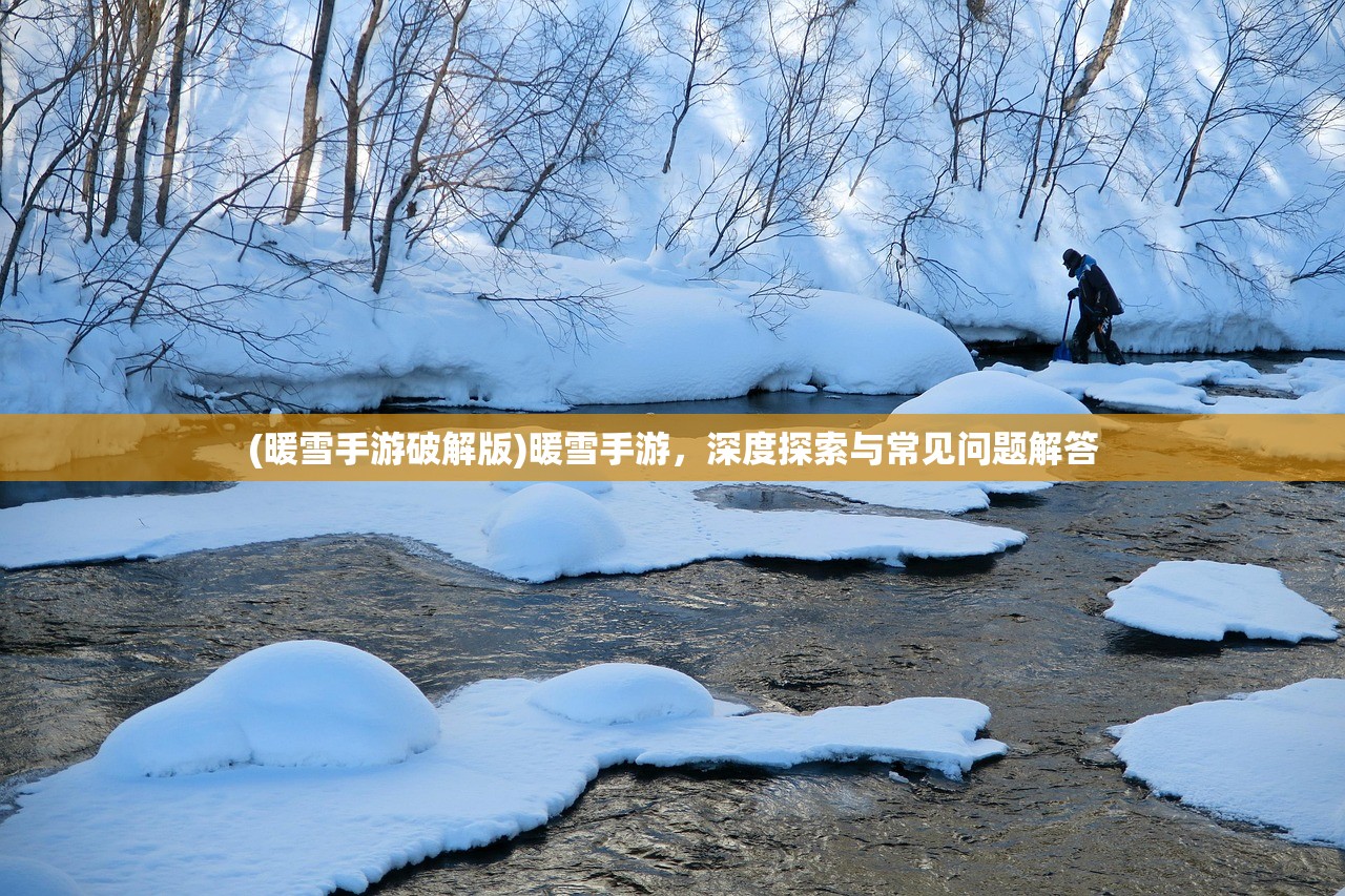 (暖雪手游破解版)暖雪手游，深度探索与常见问题解答