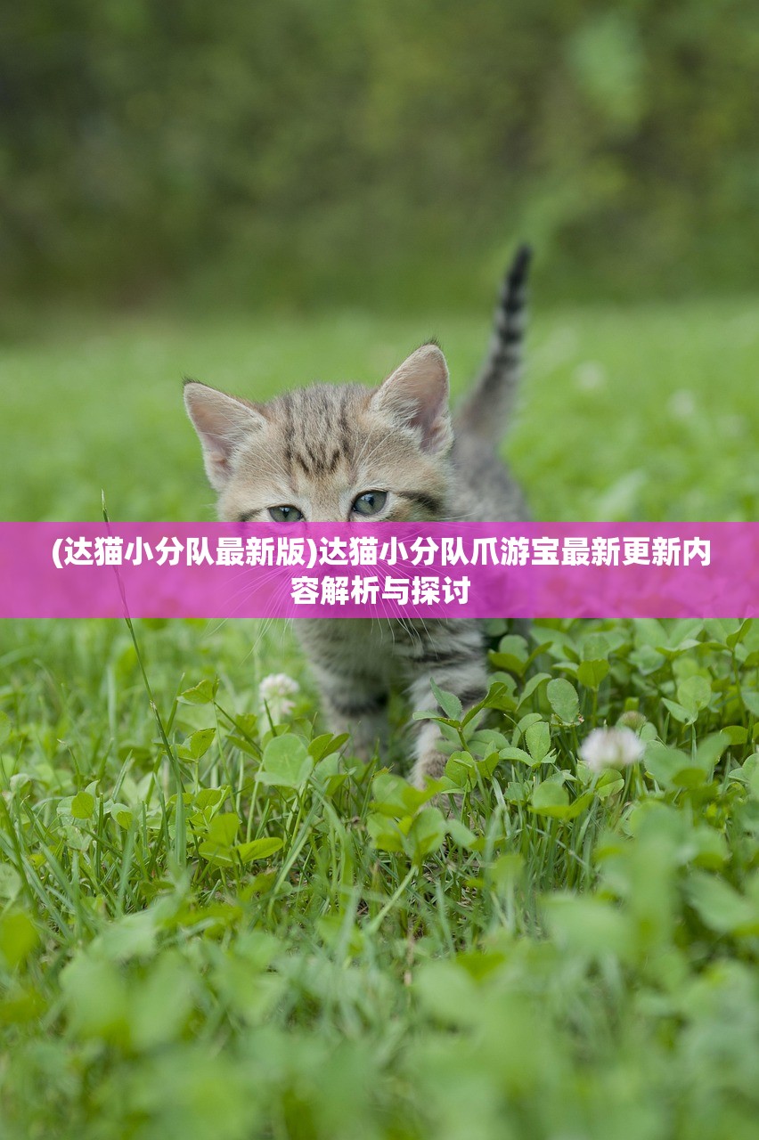 (达猫小分队最新版)达猫小分队爪游宝最新更新内容解析与探讨