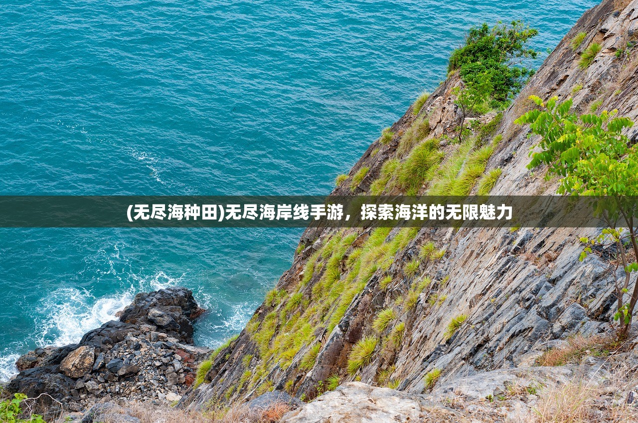 (无尽海种田)无尽海岸线手游，探索海洋的无限魅力