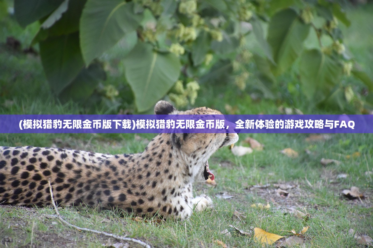 (模拟猎豹无限金币版下载)模拟猎豹无限金币版，全新体验的游戏攻略与FAQ