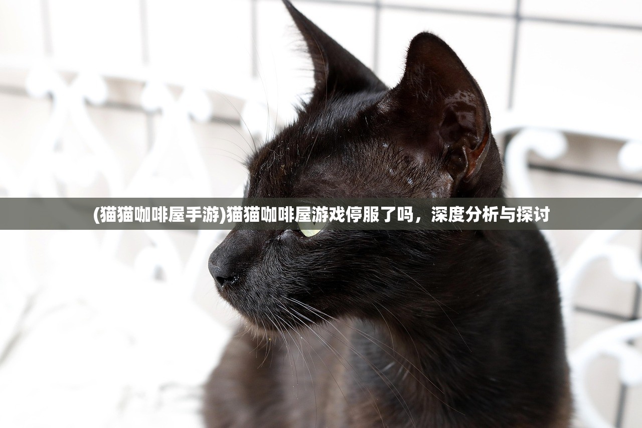 (猫猫咖啡屋手游)猫猫咖啡屋游戏停服了吗，深度分析与探讨