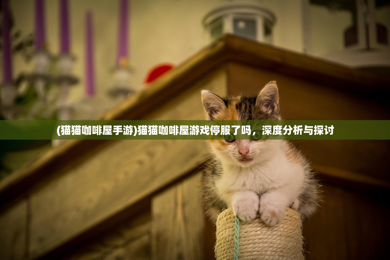 (猫猫咖啡屋手游)猫猫咖啡屋游戏停服了吗，深度分析与探讨