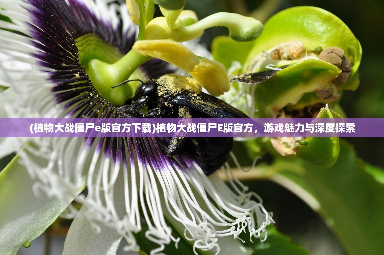 (植物大战僵尸e版官方下载)植物大战僵尸E版官方，游戏魅力与深度探索