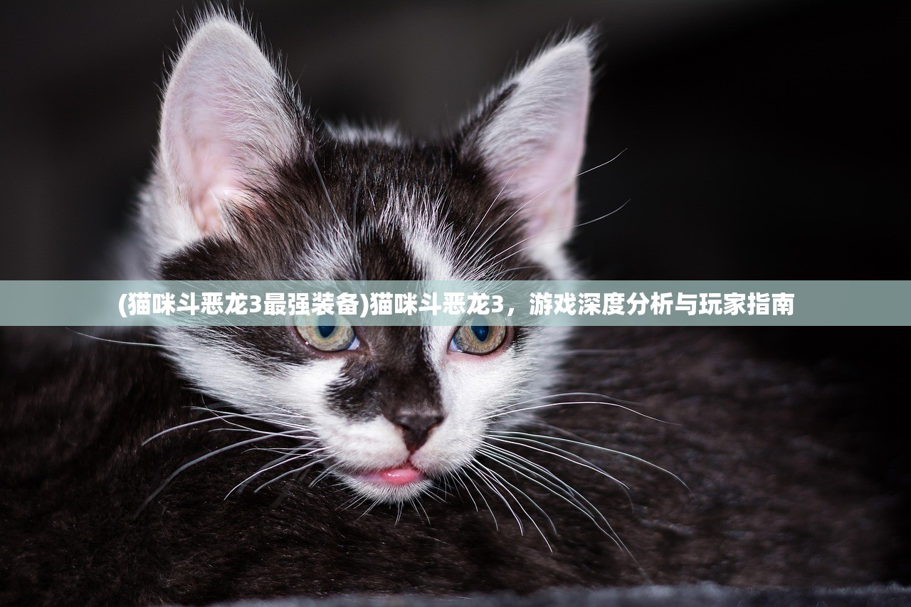 (猫咪斗恶龙3最强装备)猫咪斗恶龙3，游戏深度分析与玩家指南