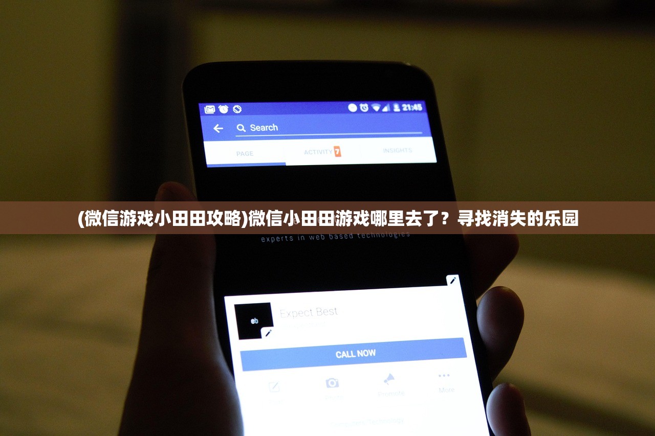 (微信游戏小田田攻略)微信小田田游戏哪里去了？寻找消失的乐园