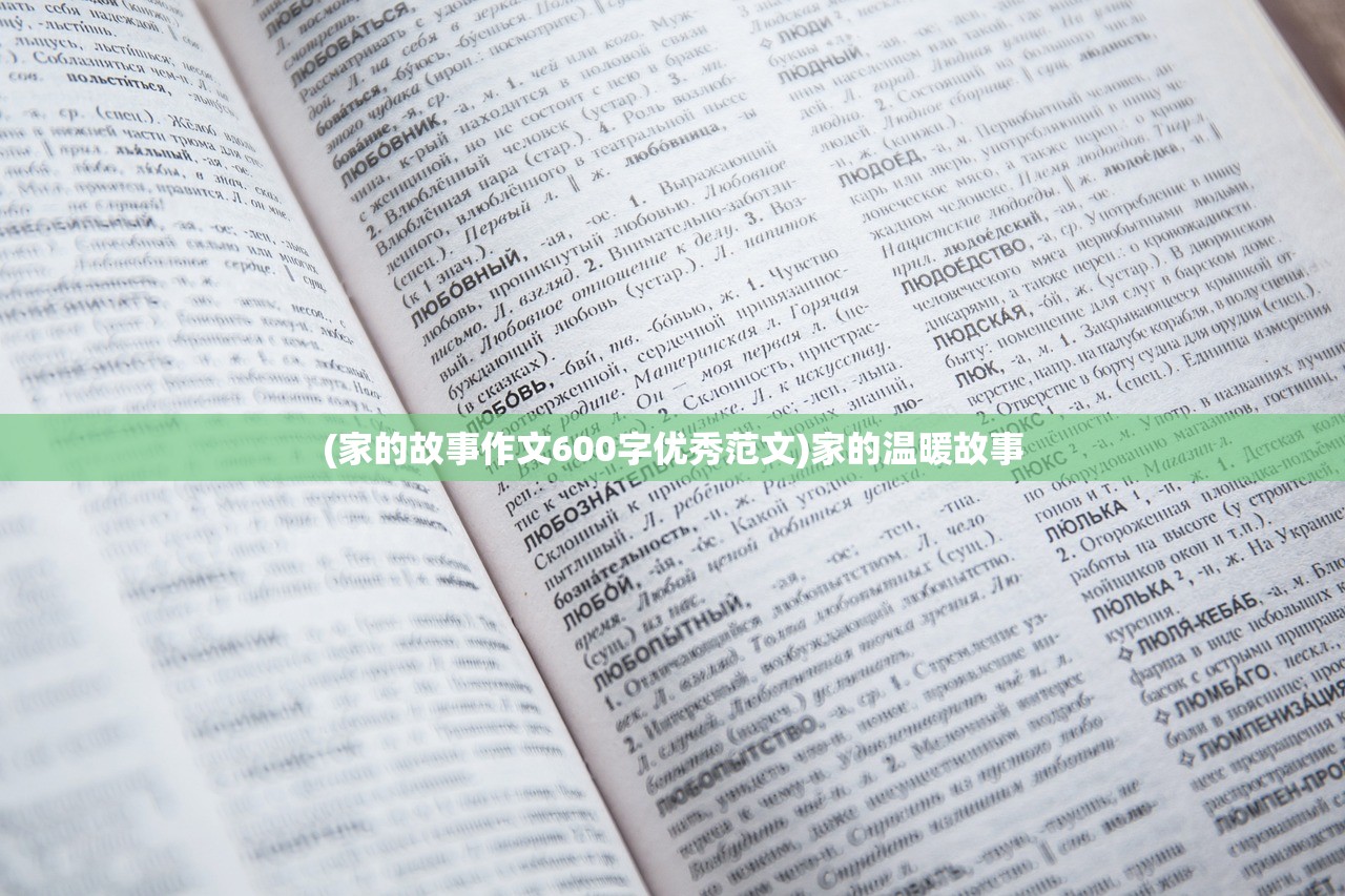 (家的故事作文600字优秀范文)家的温暖故事