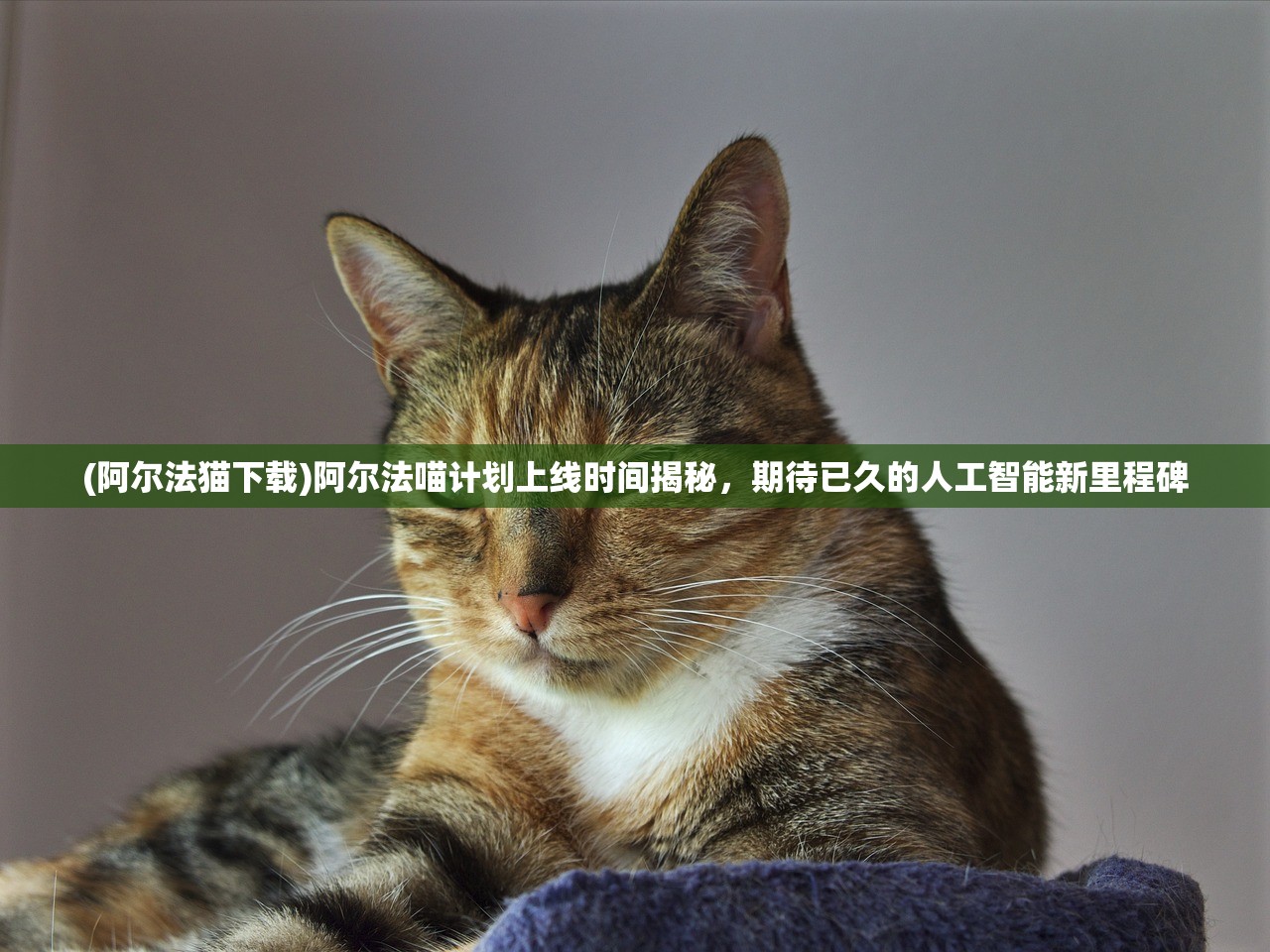 (阿尔法猫下载)阿尔法喵计划上线时间揭秘，期待已久的人工智能新里程碑