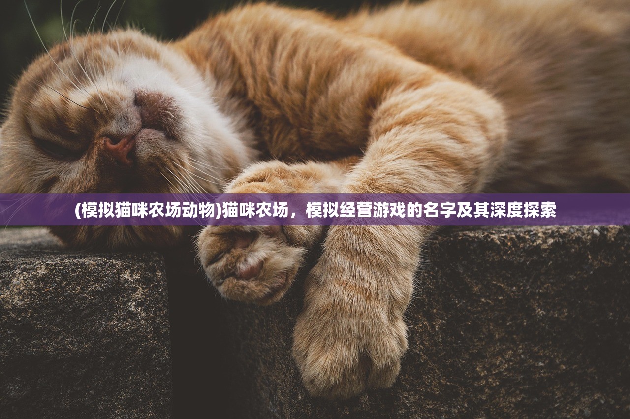 (模拟猫咪农场动物)猫咪农场，模拟经营游戏的名字及其深度探索