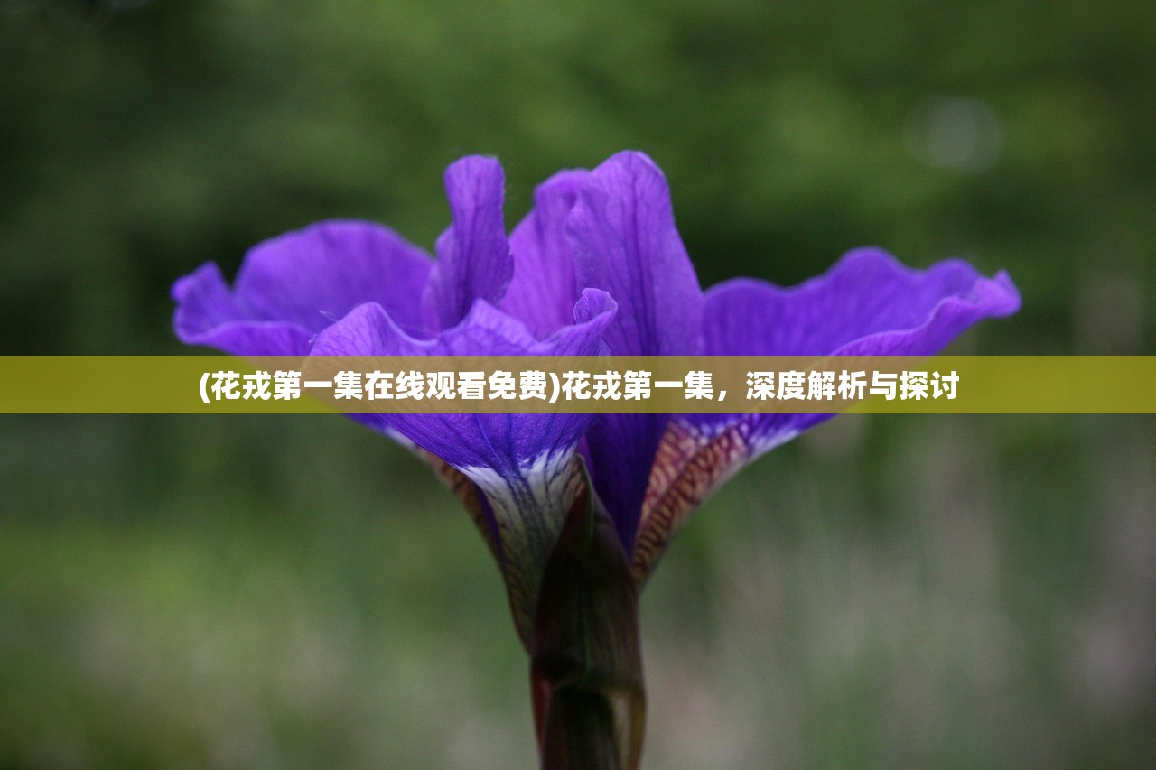 (花戎第一集在线观看免费)花戎第一集，深度解析与探讨