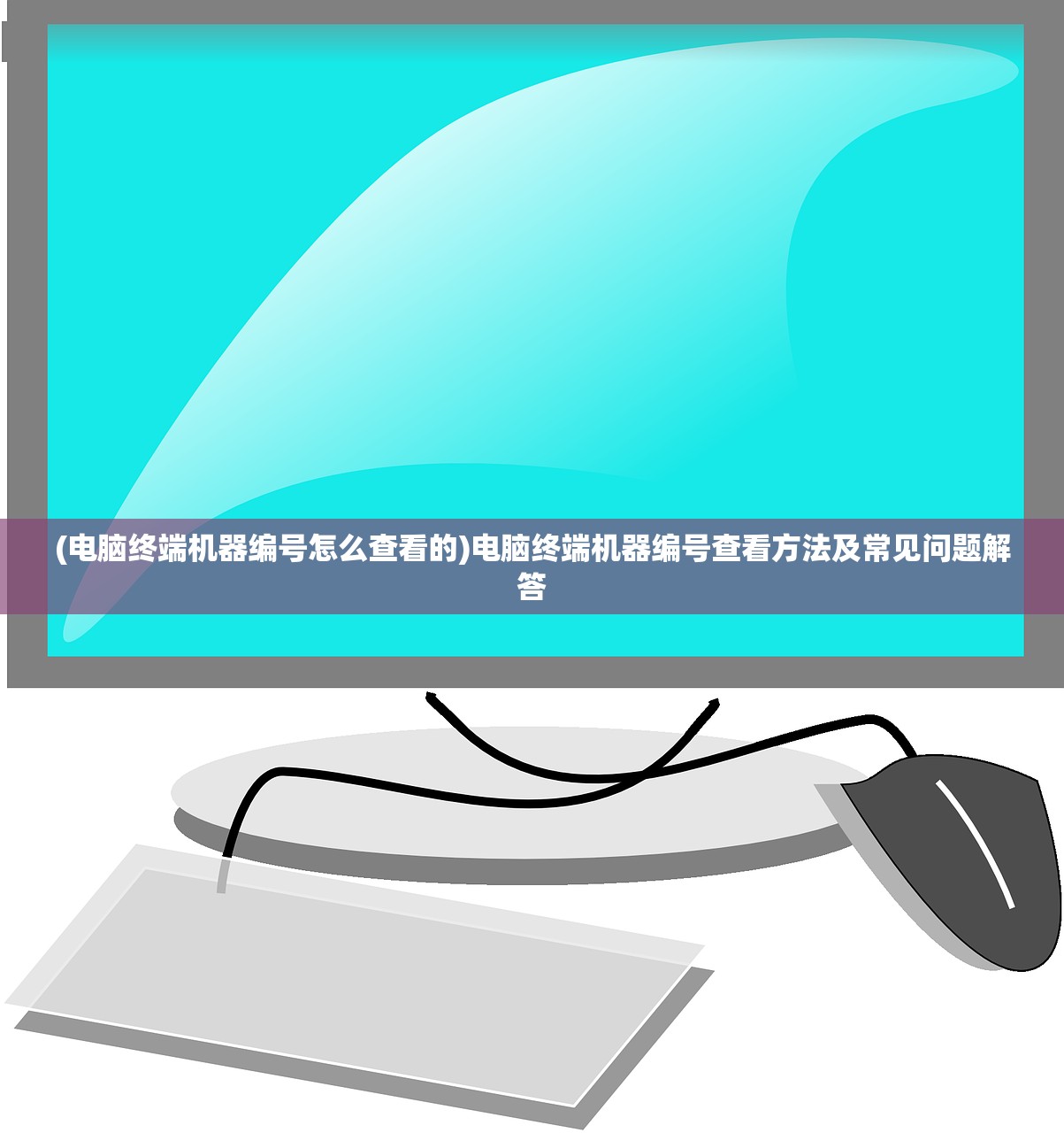 (电脑终端机器编号怎么查看的)电脑终端机器编号查看方法及常见问题解答