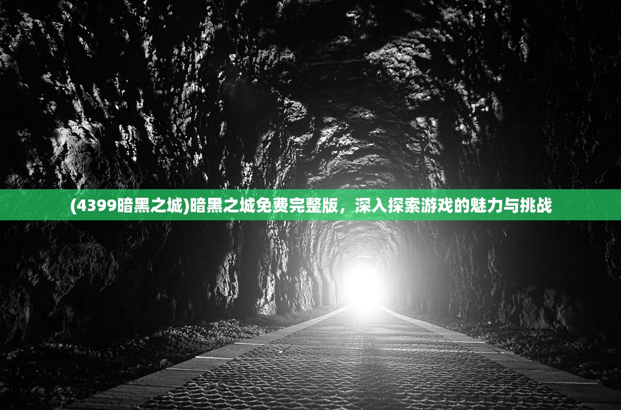 (4399暗黑之城)暗黑之城免费完整版，深入探索游戏的魅力与挑战