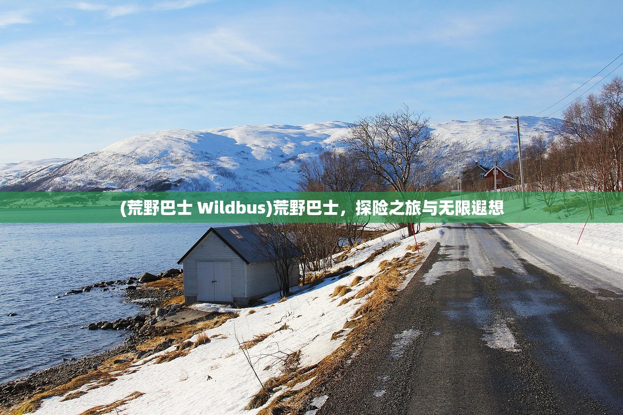 (荒野巴士 Wildbus)荒野巴士，探险之旅与无限遐想