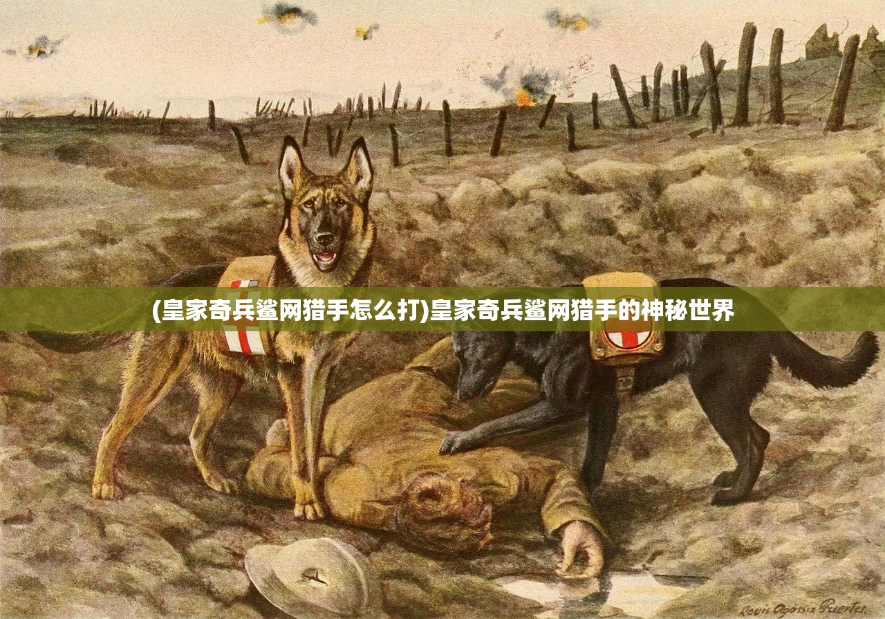 (皇家奇兵鲨网猎手怎么打)皇家奇兵鲨网猎手的神秘世界