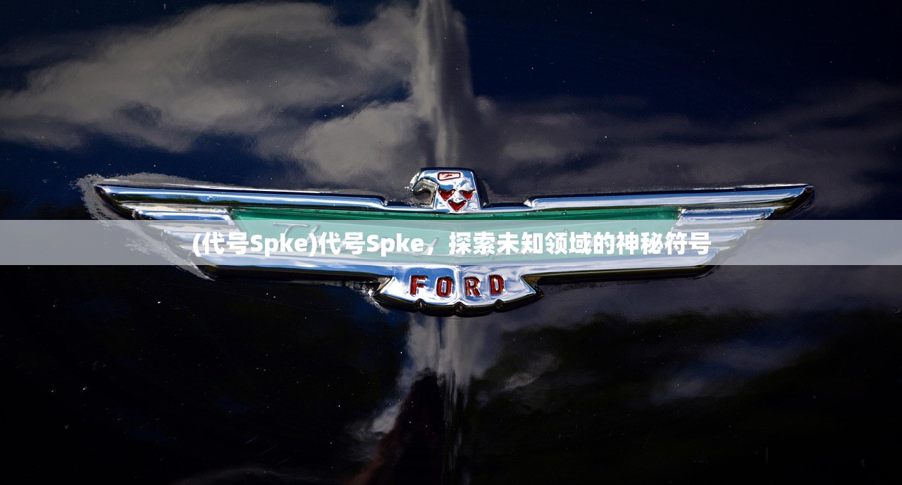 (代号Spke)代号Spke，探索未知领域的神秘符号