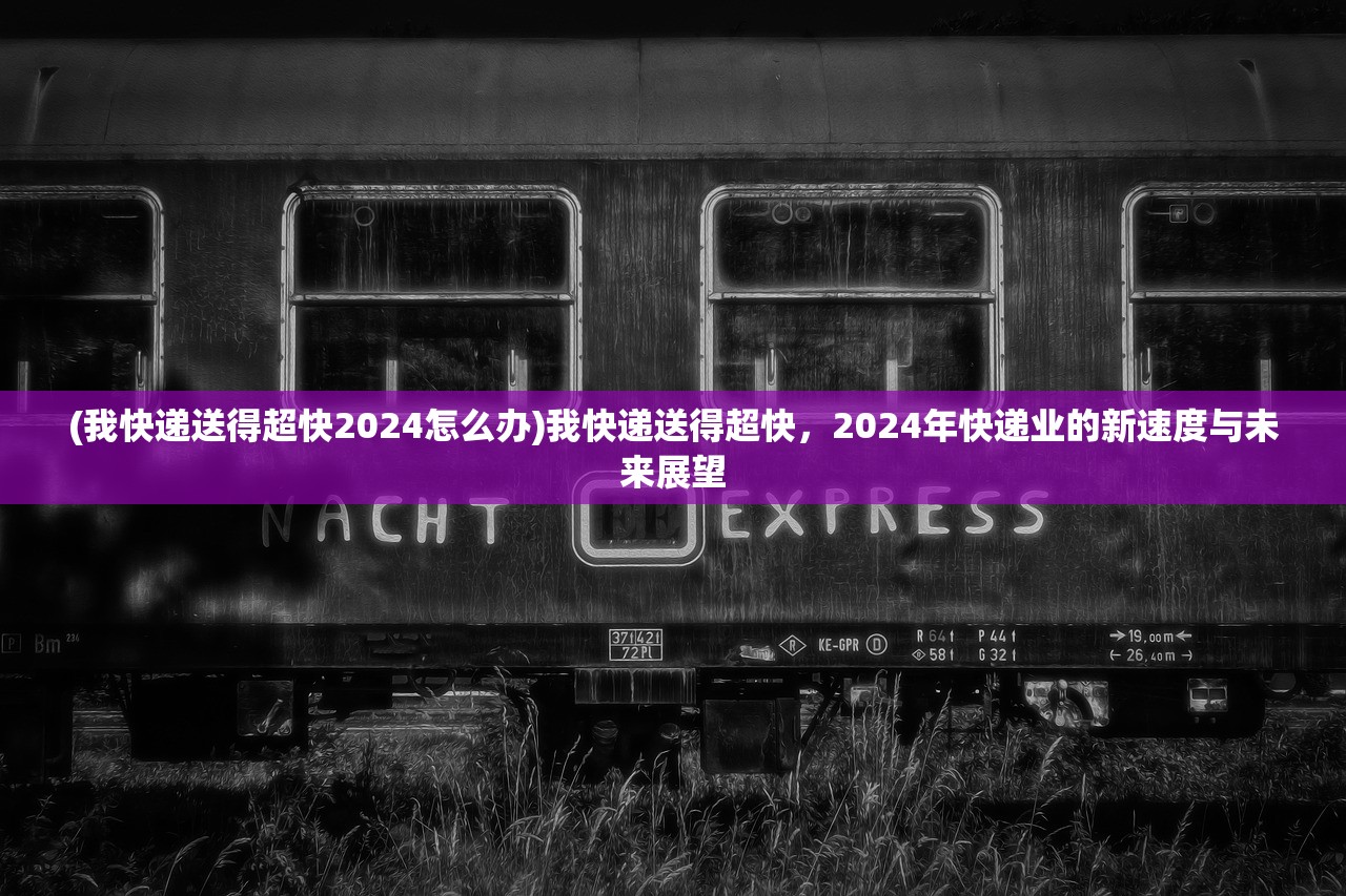 (我快递送得超快2024怎么办)我快递送得超快，2024年快递业的新速度与未来展望