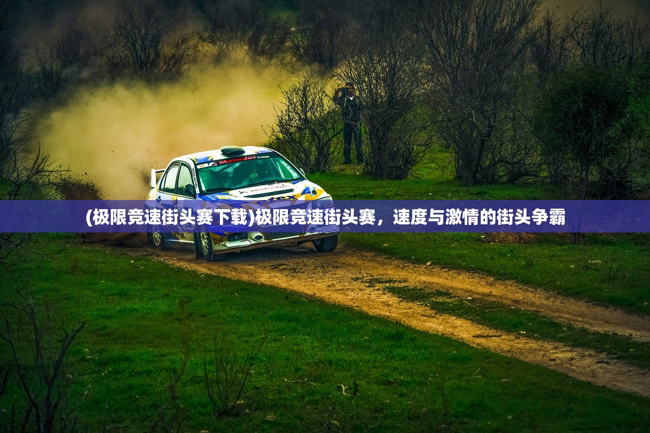 (极限竞速街头赛下载)极限竞速街头赛，速度与激情的街头争霸