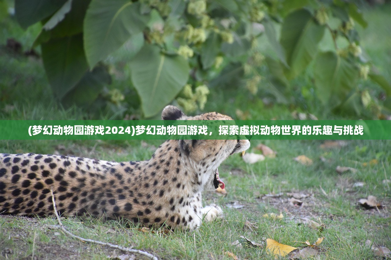 (梦幻动物园游戏2024)梦幻动物园游戏，探索虚拟动物世界的乐趣与挑战