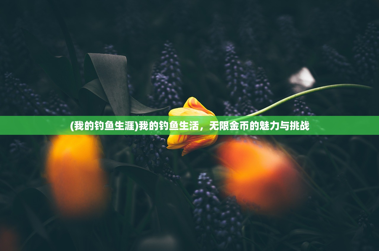 (我的钓鱼生涯)我的钓鱼生活，无限金币的魅力与挑战