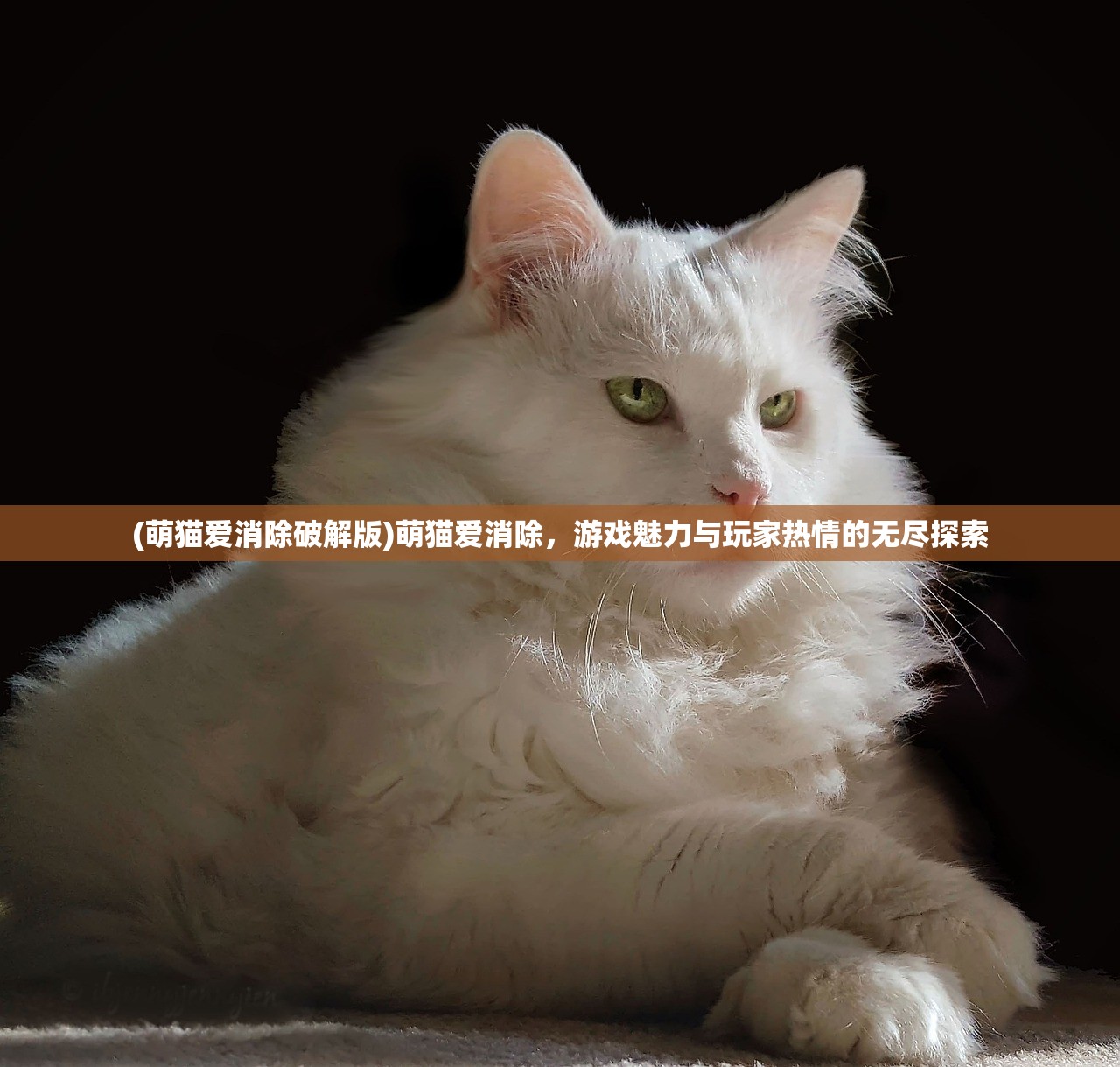 (萌猫爱消除破解版)萌猫爱消除，游戏魅力与玩家热情的无尽探索