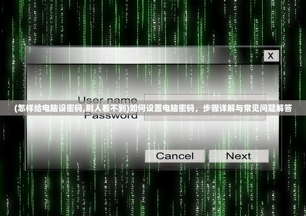 (怎样给电脑设密码,别人看不到)如何设置电脑密码，步骤详解与常见问题解答