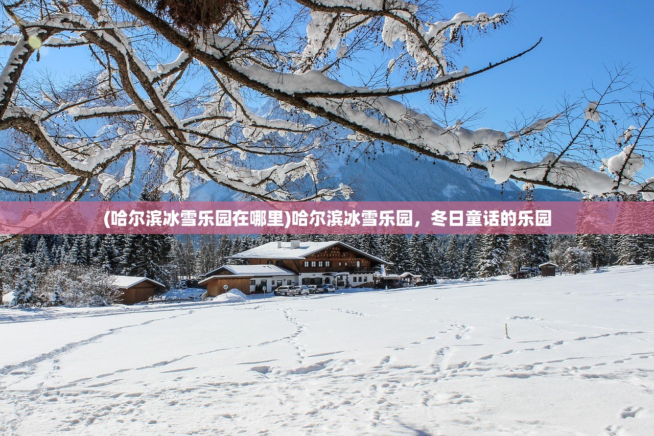 (哈尔滨冰雪乐园在哪里)哈尔滨冰雪乐园，冬日童话的乐园