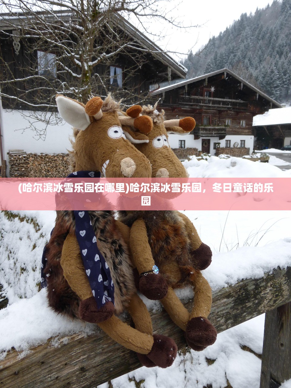 (哈尔滨冰雪乐园在哪里)哈尔滨冰雪乐园，冬日童话的乐园