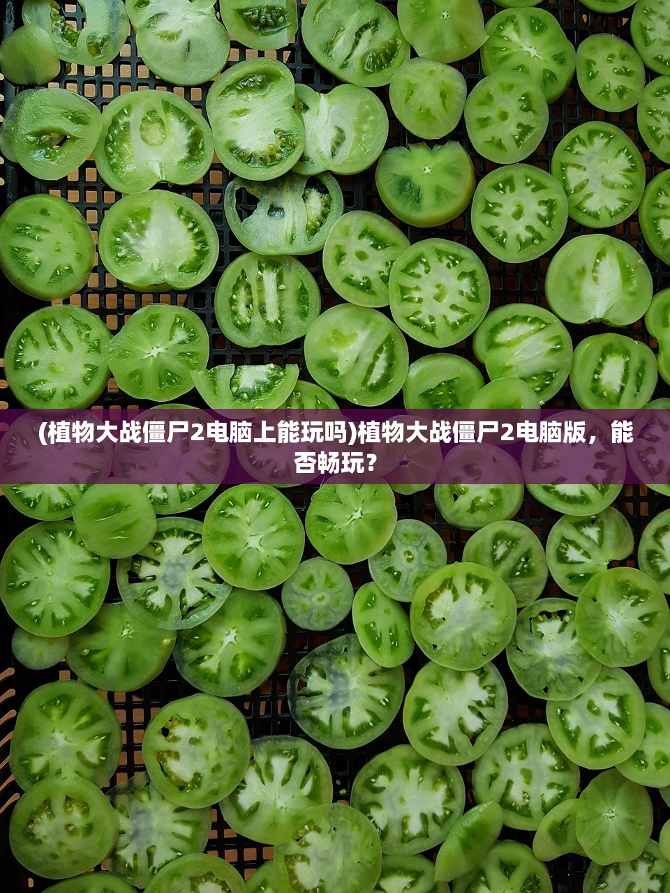 (植物大战僵尸2电脑上能玩吗)植物大战僵尸2电脑版，能否畅玩？