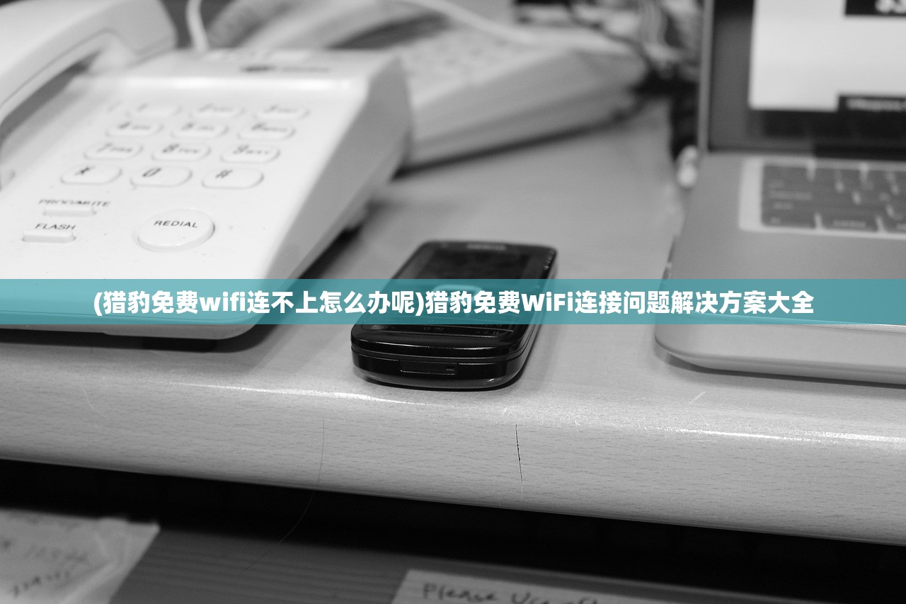 (猎豹免费wifi连不上怎么办呢)猎豹免费WiFi连接问题解决方案大全