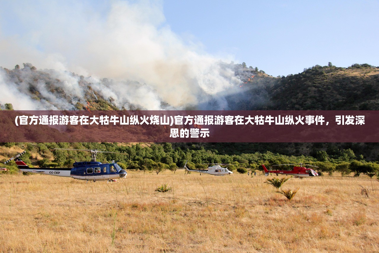 (官方通报游客在大牯牛山纵火烧山)官方通报游客在大牯牛山纵火事件，引发深思的警示