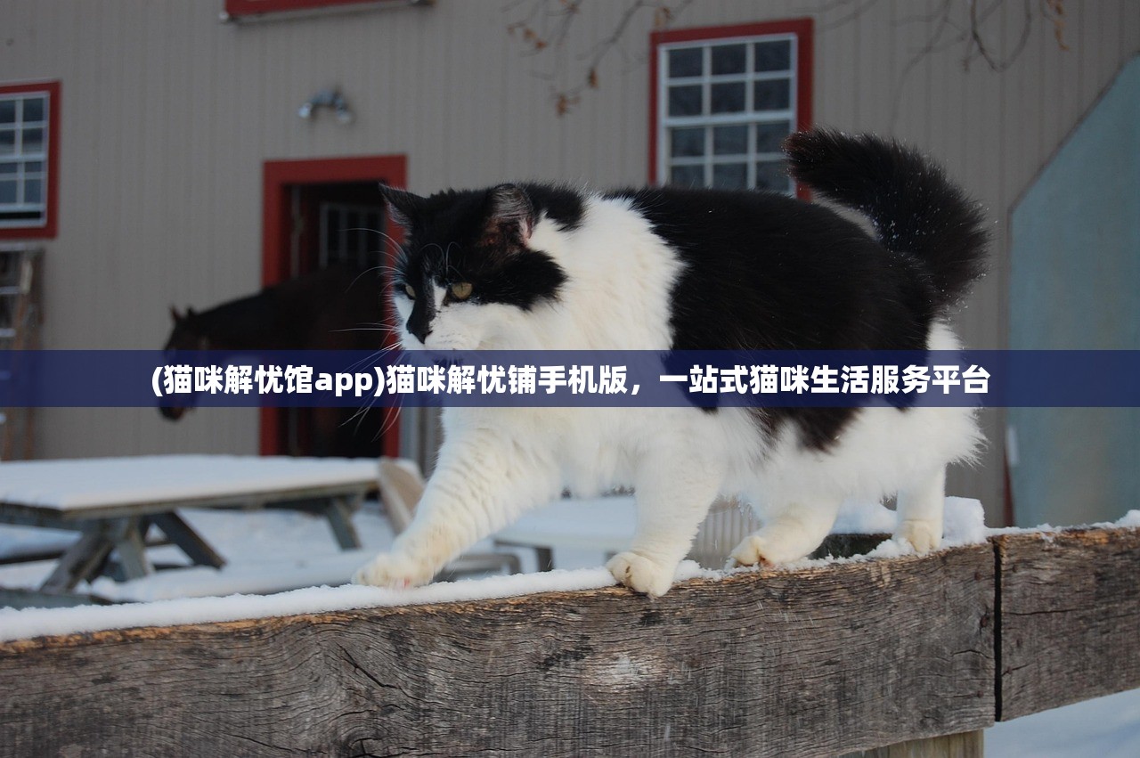 (猫咪解忧馆app)猫咪解忧铺手机版，一站式猫咪生活服务平台