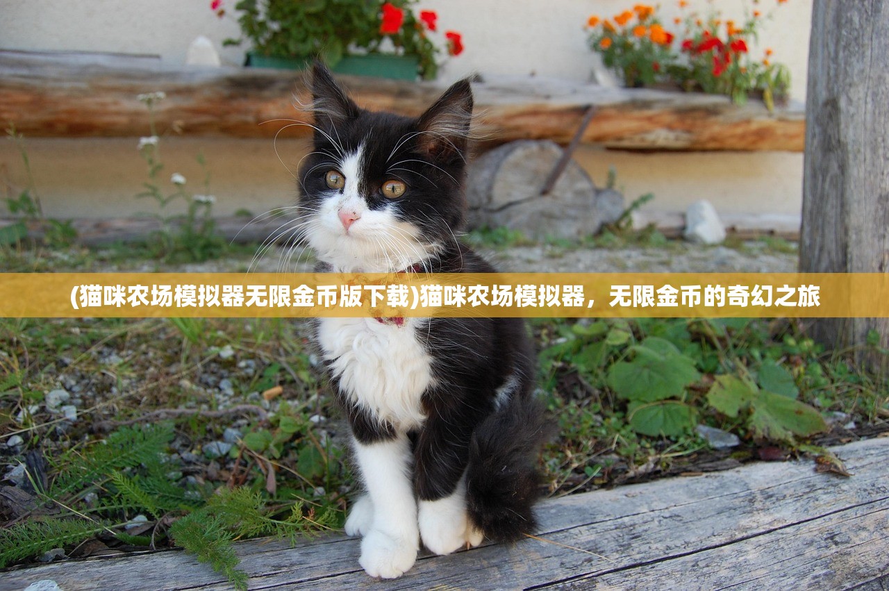 (猫咪农场模拟器无限金币版下载)猫咪农场模拟器，无限金币的奇幻之旅