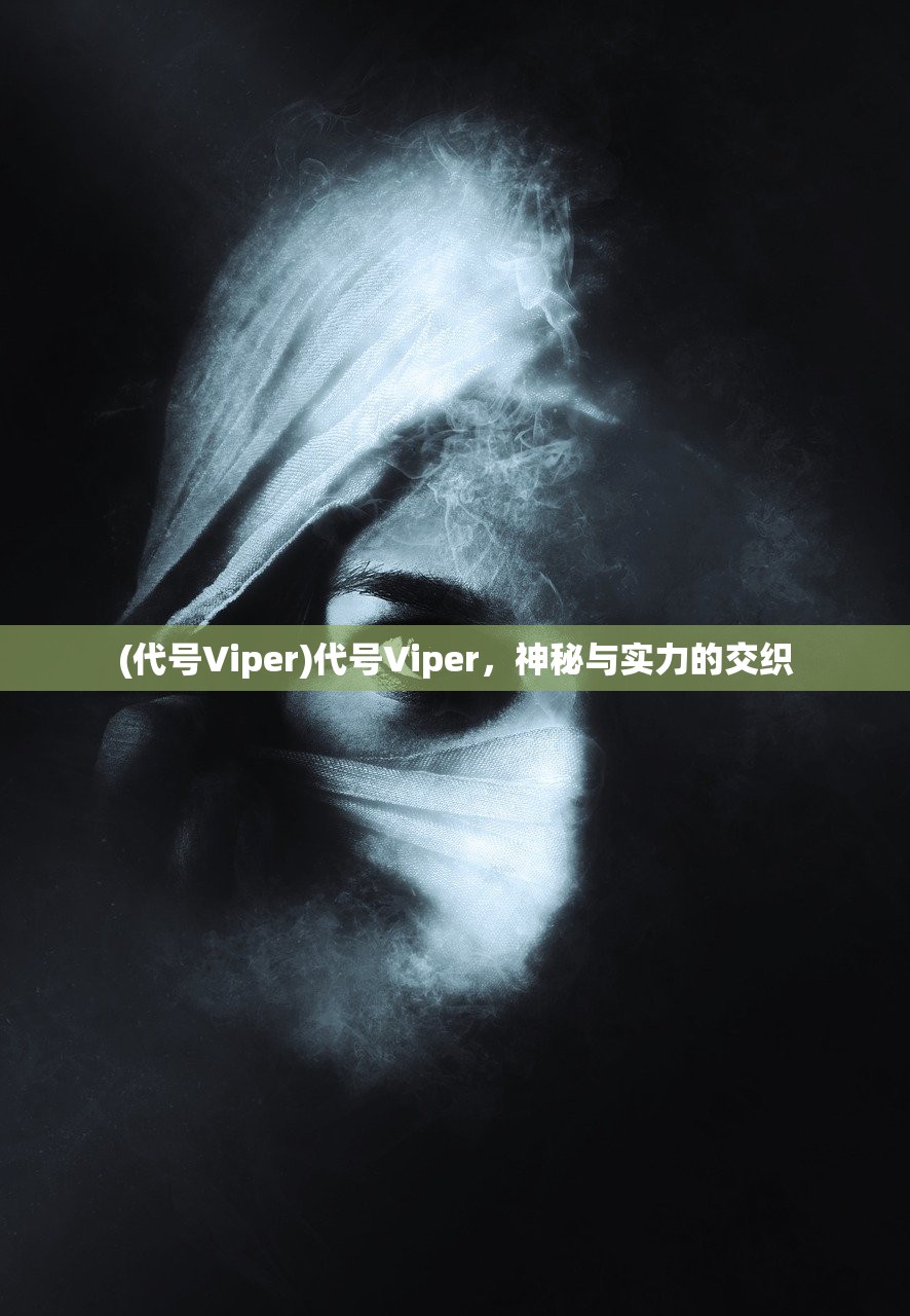 (代号Viper)代号Viper，神秘与实力的交织