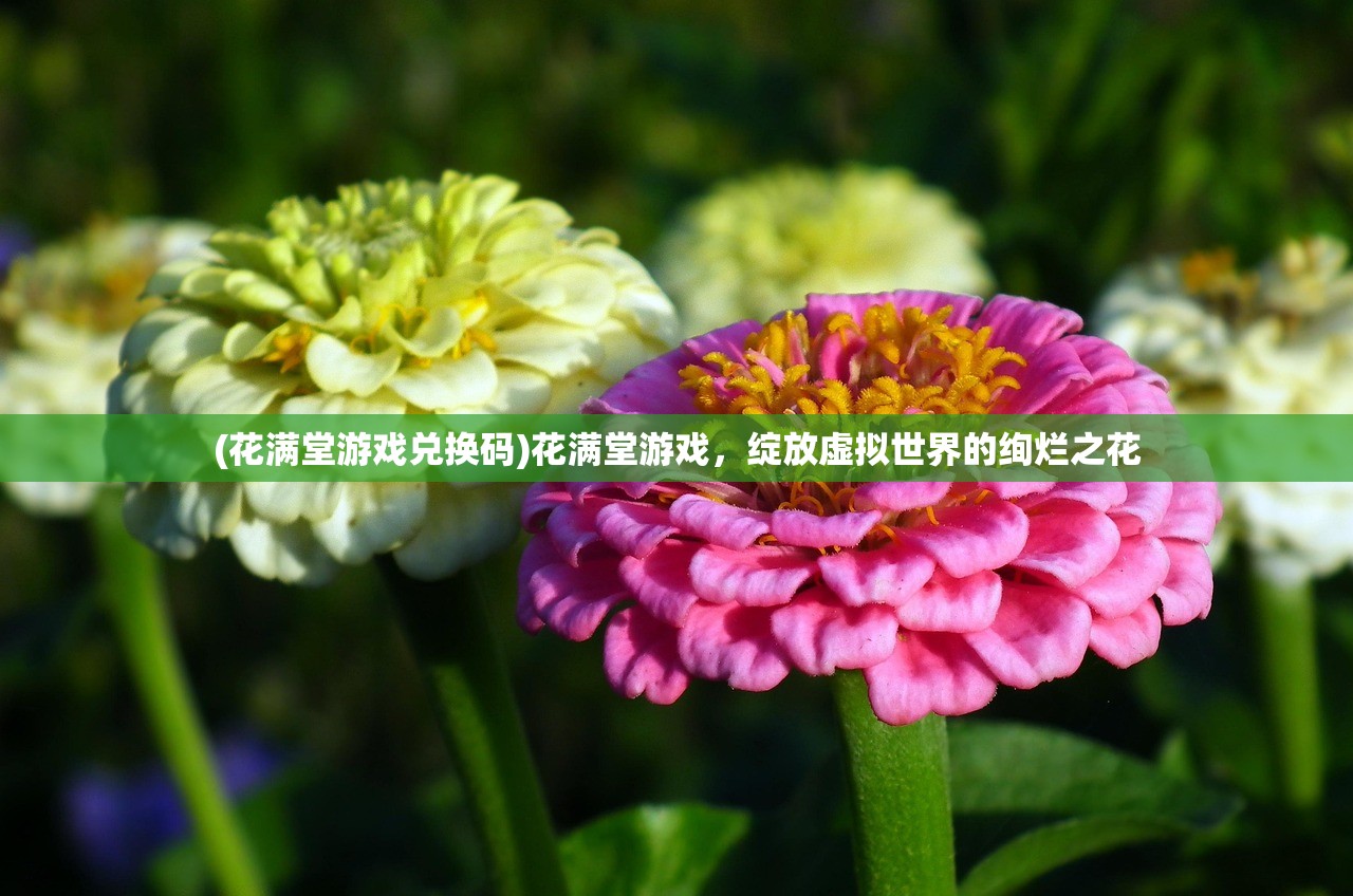 (花满堂游戏兑换码)花满堂游戏，绽放虚拟世界的绚烂之花