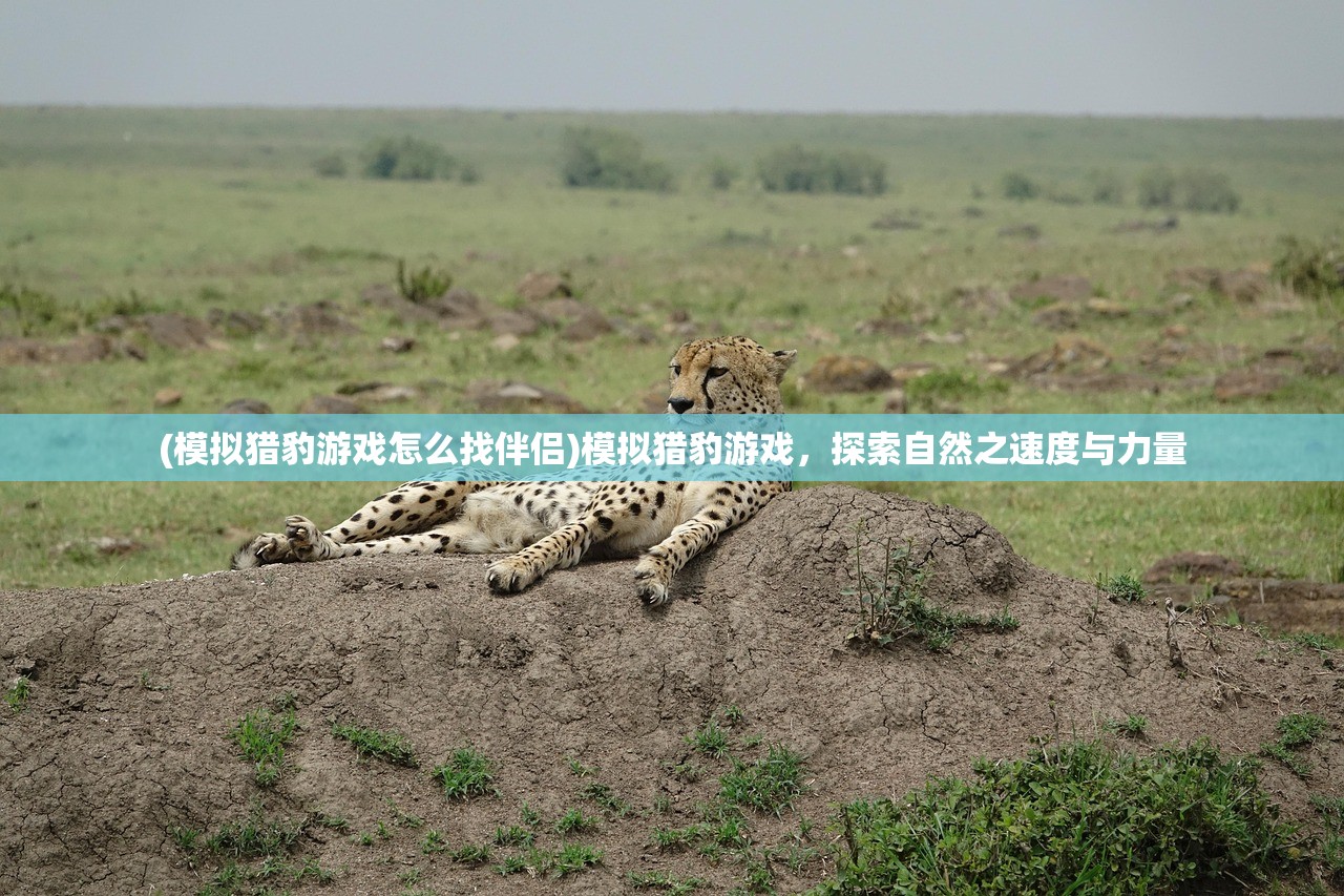 (无双战机内置修改器最新版)无双战机内置修改器，深度解析与探讨